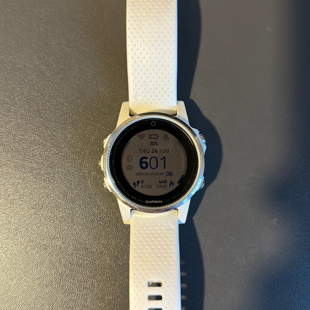 Garmin Fenix 5S